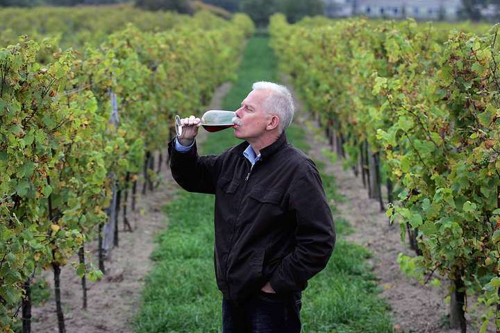 »Viele Polen haben keine Ahnung, dass wir guten Wein machen können«, sagt Lech Jaworek.