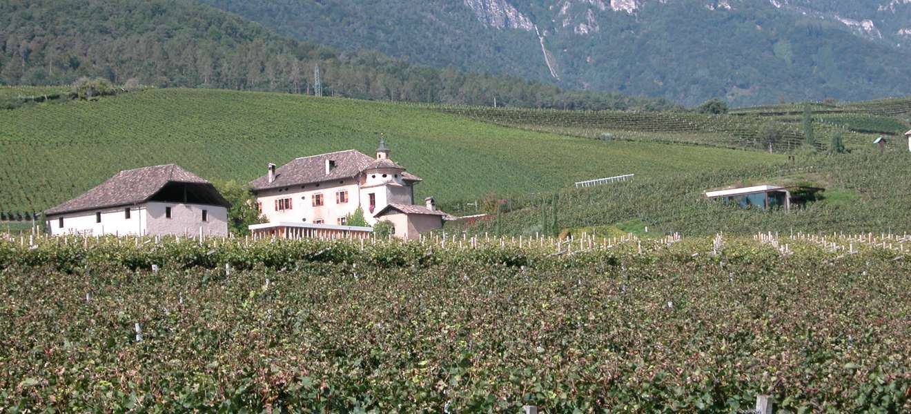 Das Weingut Manincor ist das größte seiner Art in Südtirol.