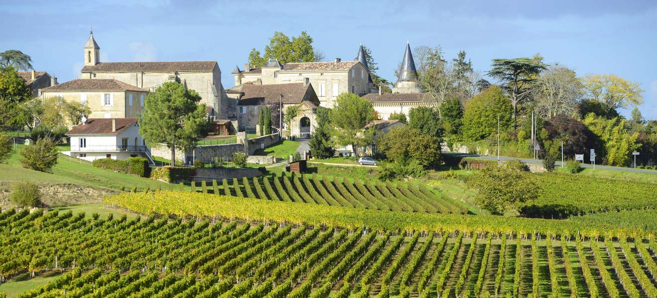 Vineyards near Saint Emilion, Bordeaux