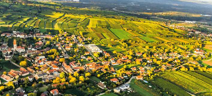 Nußdorf ob der Traisen besitzt eine lange Weinbau-Tradition.