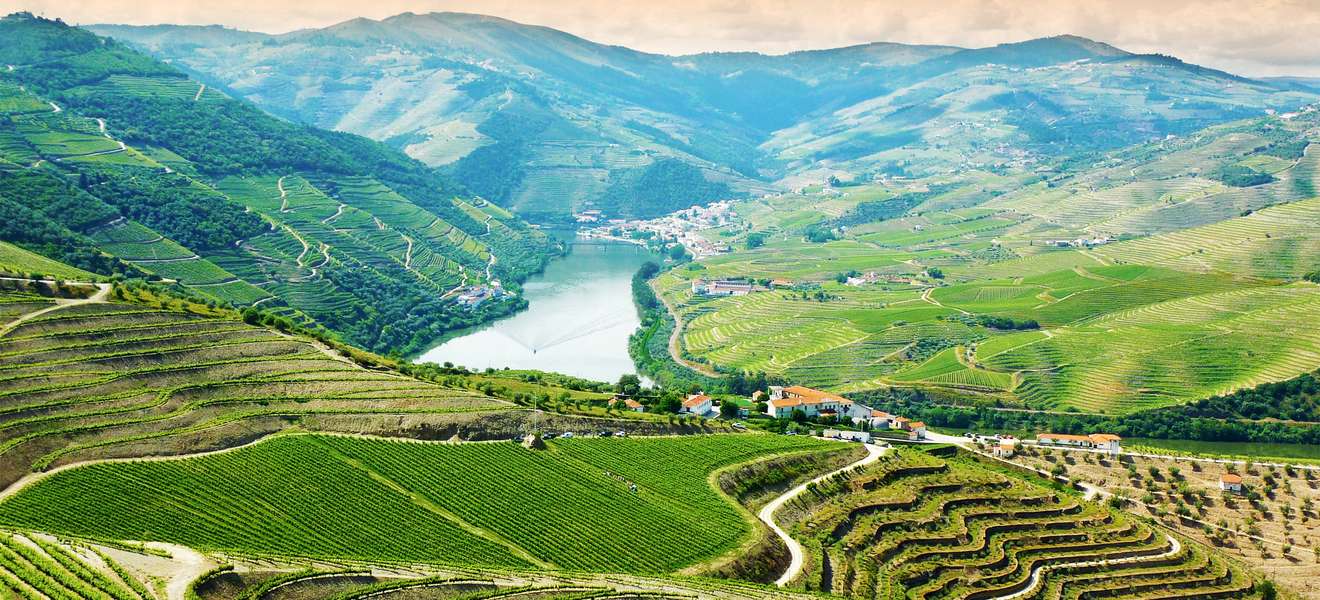 Portwein: Best of «Primera Prova 2022 Douro Valley Portugal»