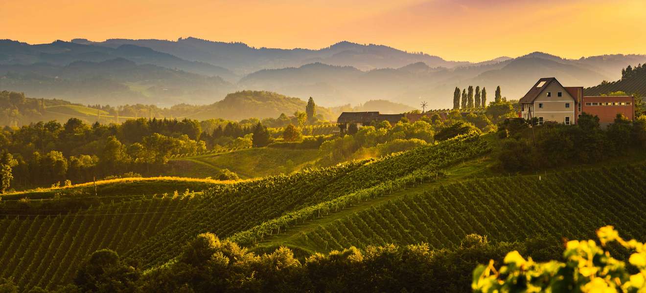 Die Südsteiermark mit ihren idyllischen Buschenschenken gehört zu den beliebtesten Weinbaugebieten Österreichs.