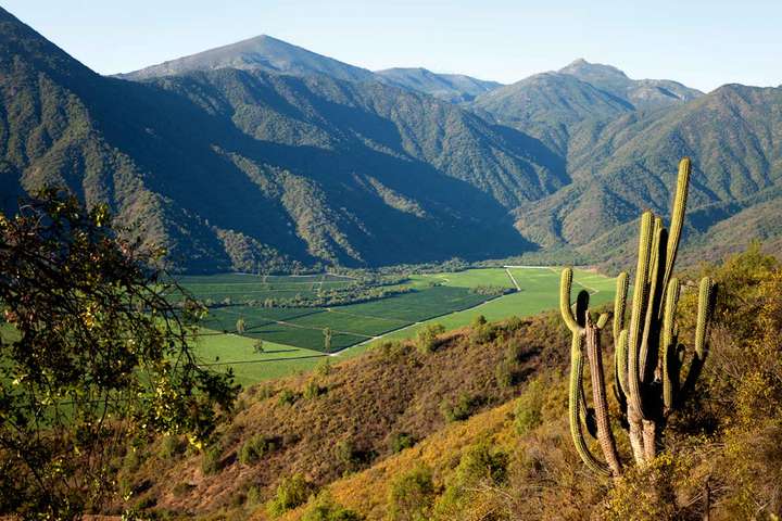 Das Weingut Veramonte in Chile verfügt über den grössten Marktanteil unter den chilenischen Weinen in den USA.
