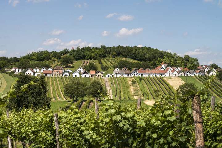 Im Weinviertel gibt es viele Kellergassen, eine der schönsten ist die am Galgenberg.