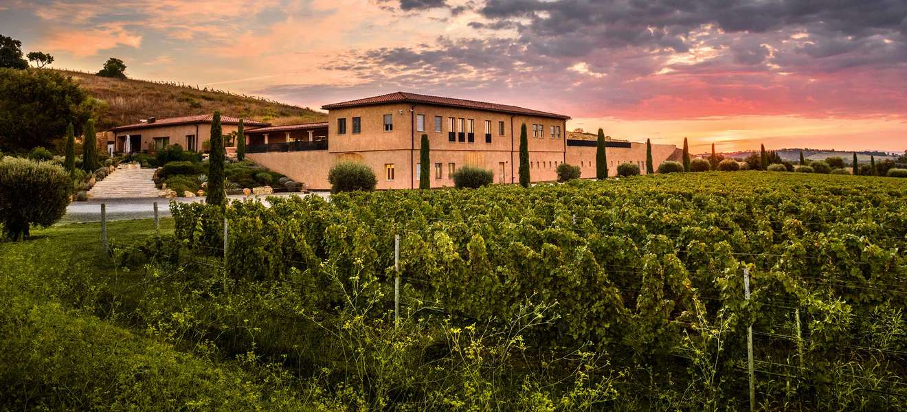 In der südlichen Toskana entstehen am Weingut Monteverro tiefgründige, würzige Weine.