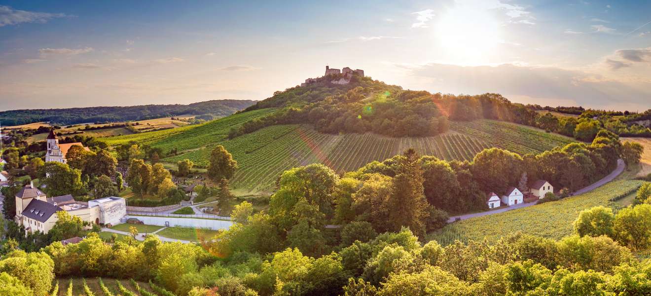 Das Weinviertel ist Österreichs größtes Herkunftsgebiet und die Heimat des Grünen Veltliners.