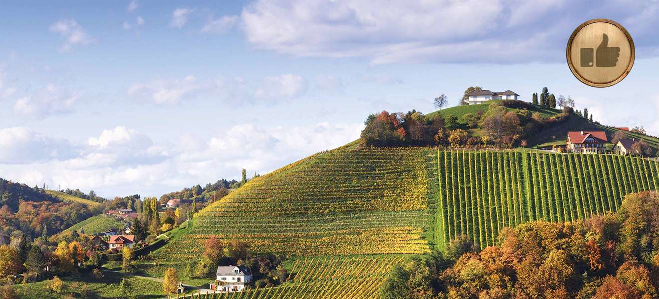 Nicht nur in der Steiermark freuen sich die Winzer über den kraftvollen Jahrgang 2015.