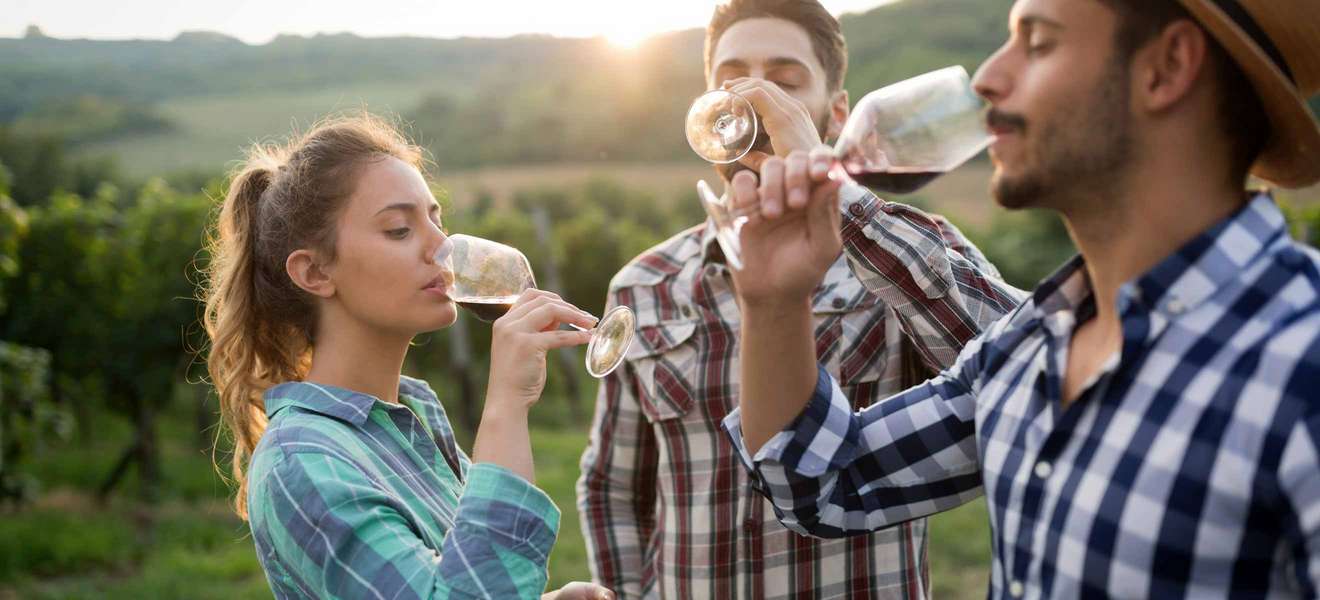 Männer oder Frauen: Wer schmeckt Wein besser?