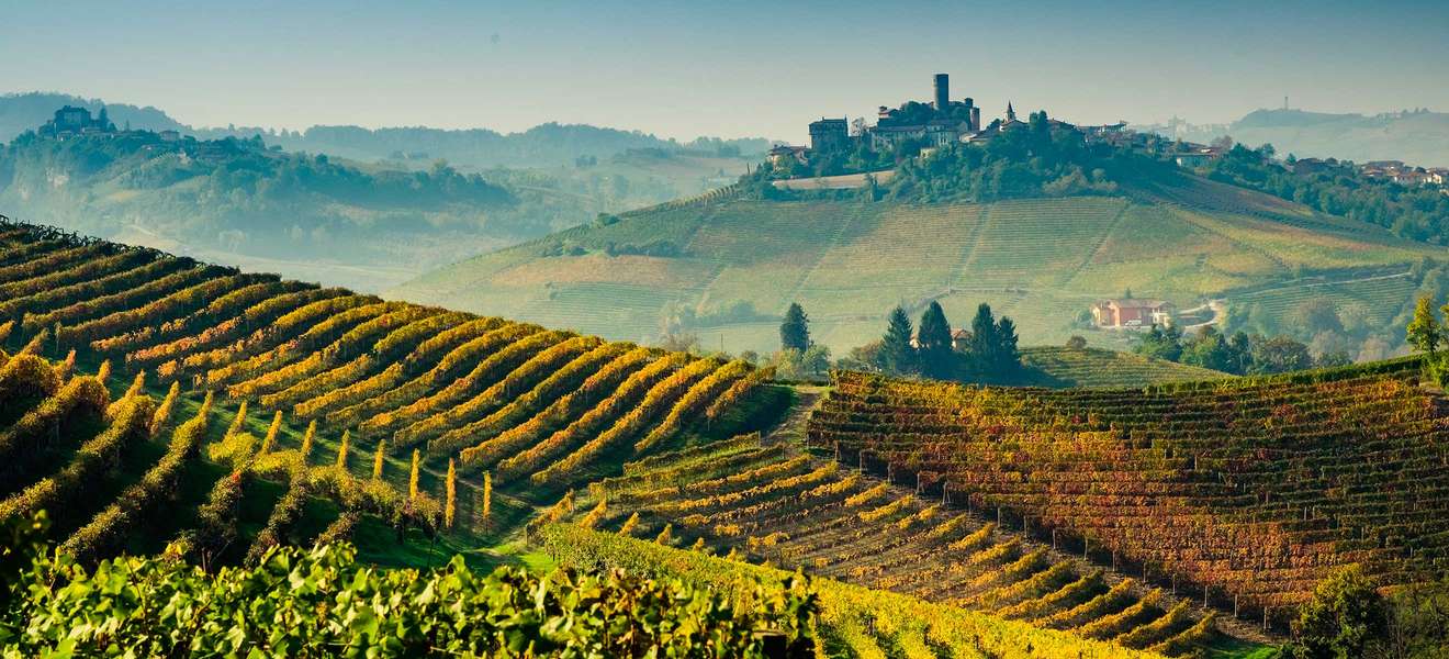 Im malerischen Piemont finden Sie einige der besten Weingüter Italiens.