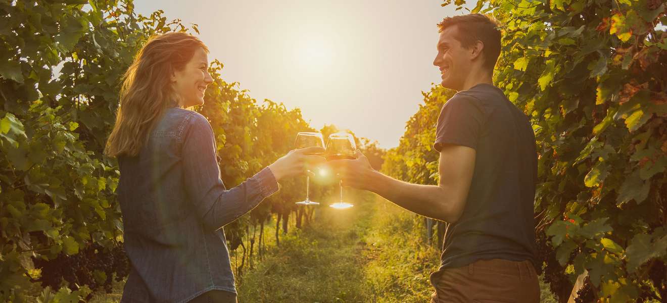 Paar trinkt Wein im Weingarten