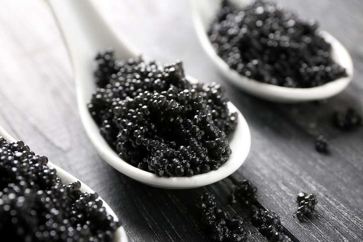Kaviar