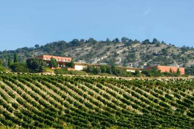 Auf der Hacienda Monasterio im spanischen Ribera del Duero begann 1990 Sissecks Erfolgsweg als Weinmacher.