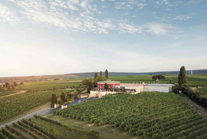 Die Trauben für die Weine stammen aus rund 45 Hektar Rebfläche, die sich ausschließlich in Deutschkreutz befindet.