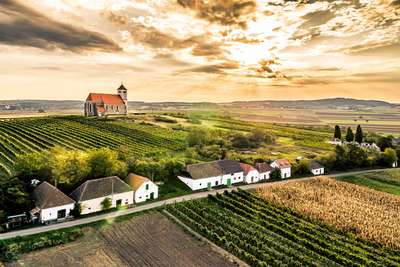 In den Weinviertler Kellergassen, etwa hier in Wartberg, trifft man zu jeder Jahreszeit auf Hauer, die gerne ein Achterl anbieten.