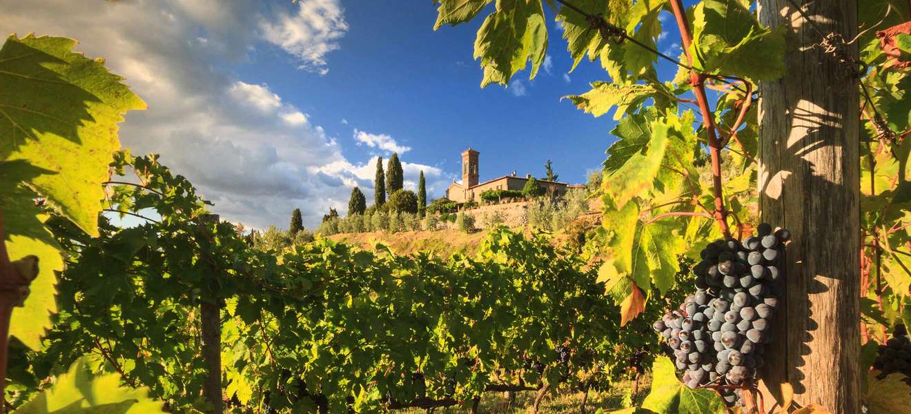 In der malerischen Landschaft des Chianti Classico entstehen einzigartige Weine. 