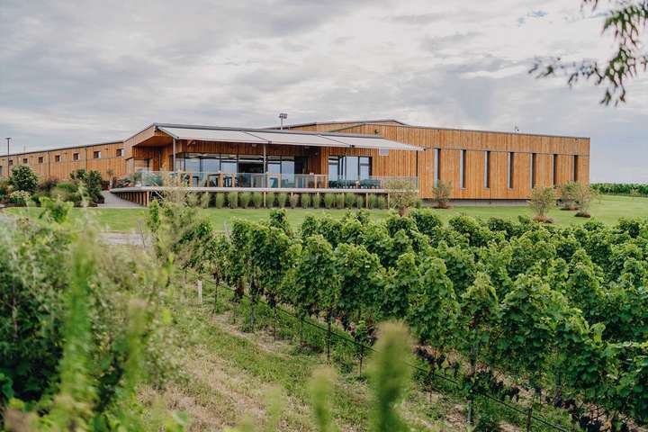 Preisgekrönt und in Holzbauweise: Ott & Trnka planten den Umbau des Weinguts Allacher Vinum Pannonia am Salzbergweg in Gols.