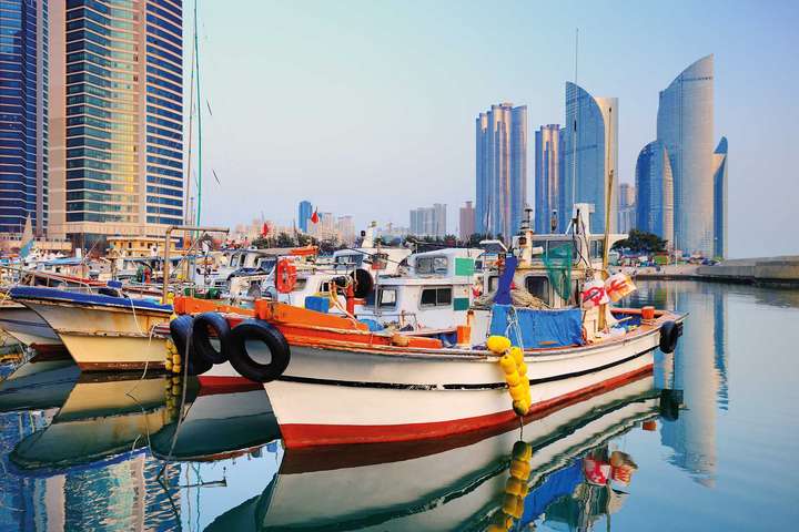 Am Hafen von Busan, der zweitgrößten Stadt Südkoreas. / © Shutterstock