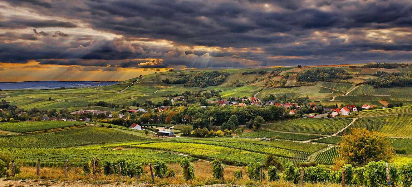 Sancerre in der Region Centre Loire ist für unverwechselbare Weißweine aus Sauvignon Blanc zu Recht legendär.