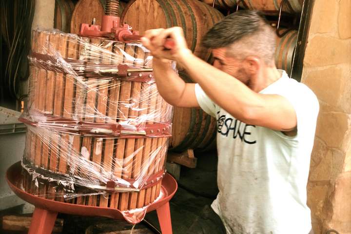 David Sampedro Gil zählt zu einer neuen Weinmacher-Generation in Rioja.