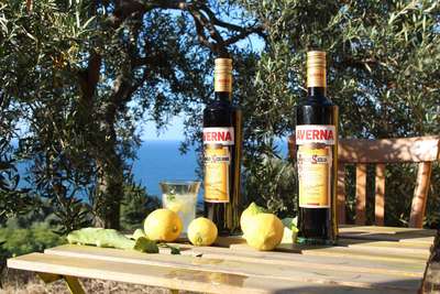 Ein zentraler Bestandteil des Averna sind Zitronen, die man überall auf Sizilien findet