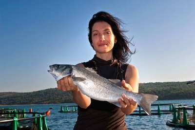 Molekularbiologin Irene Fonda will den besten Zuchtfisch der Welt produzieren.