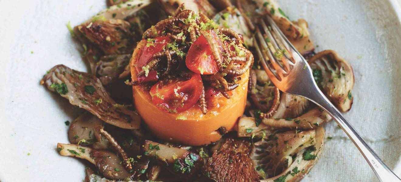Gesundes Alltagsrezept: Süßkartoffelpüree auf gebratenen Austernseitlingen mit Mehlwurm-Limetten-Vinaigrette