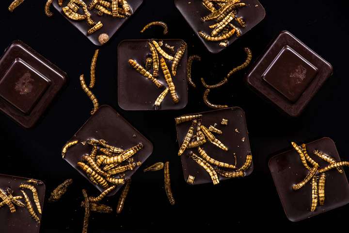 Schokolade mit Würmern und andere neue Rezeptideen dienen eher der kulinarischen Abenteuerlust als dem Klimaschutz.