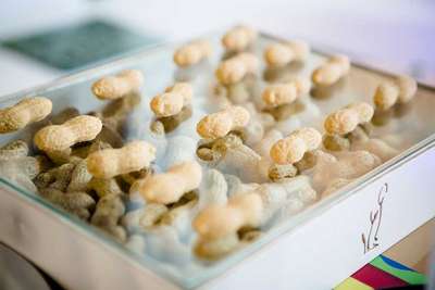 »Digikong«: Unten die echten, oben die gedruckten Erdnüsse.