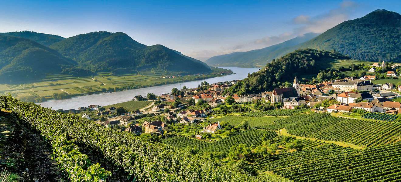 Der Weinort Spitz schmiegt sich  an den Tausendeimerberg, von dem man sagt, er würde eigentlich direkt am Spitzer Hauptplatz in die  Höhe wachsen.