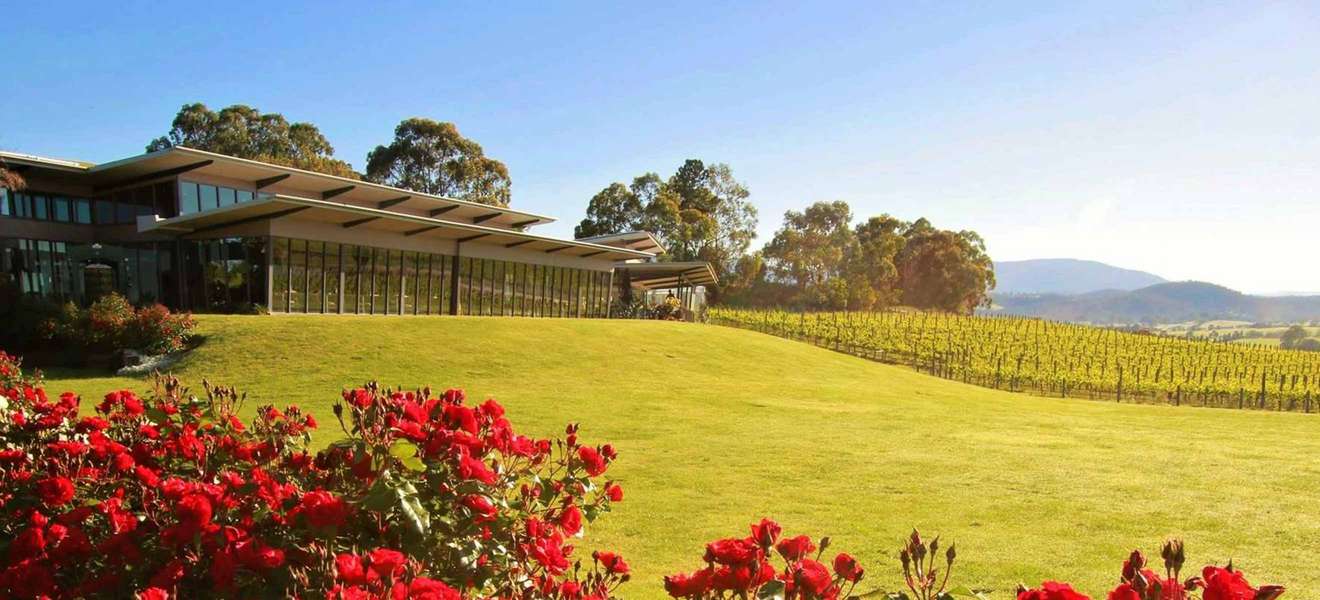 Das Balgownie Estate in Australien bietet einen atemberaubenden Ausblick in die hügelige Weinlandschaft.