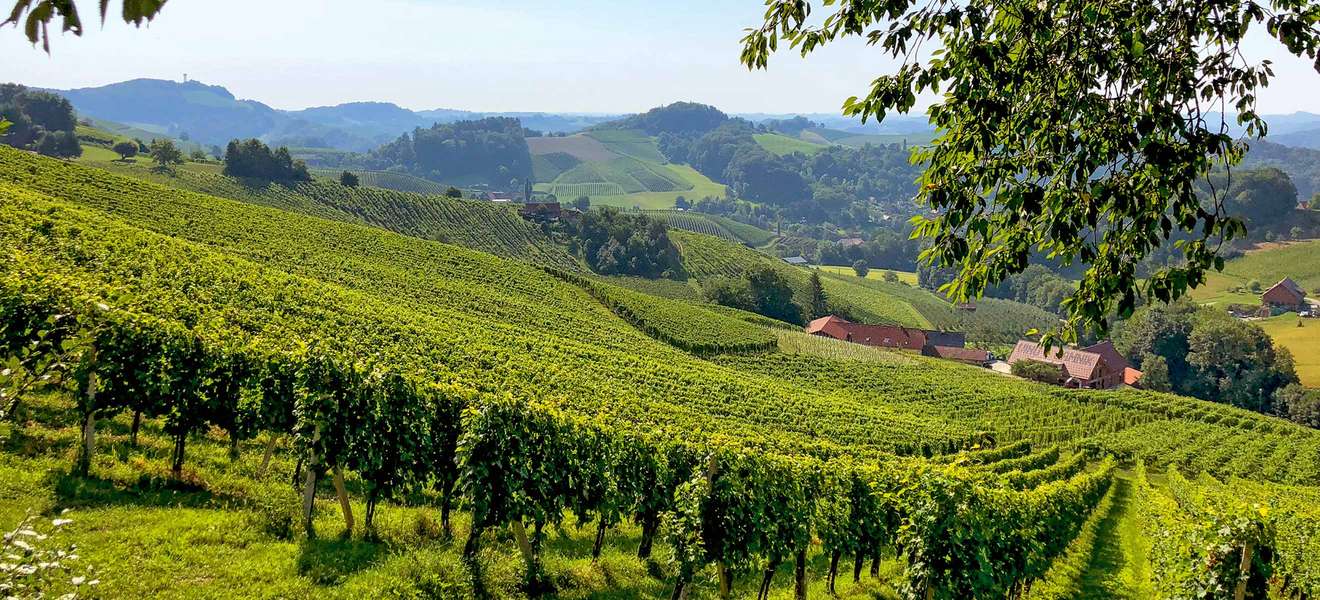 Mit Reben bestockte Hügel, dazwischen Buschenschänken: Kein Wunder, dass das Weinland Steiermark vielen Menschen zum Weinen schön erscheint.
