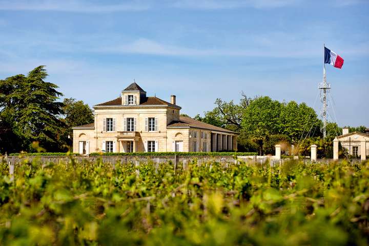 Das Terroir von Château Montrose konnte 2016 seine ganze Klasse  ausspielen.