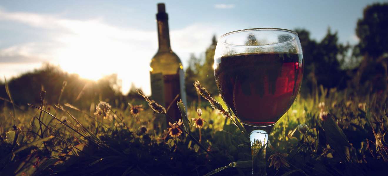 Natural Wine: die Besten aus »Weinguide Deutschland 2022«