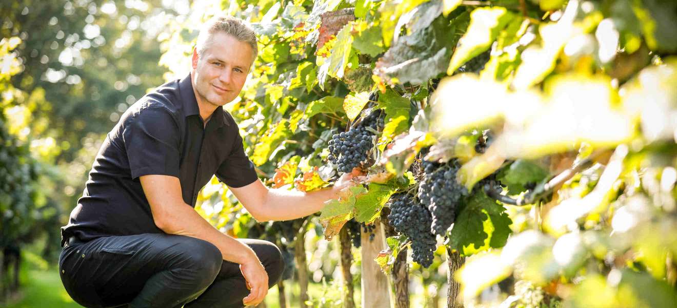 Leo Aumann steht für Qualität und Spitzenweine aus der Thermenregion.