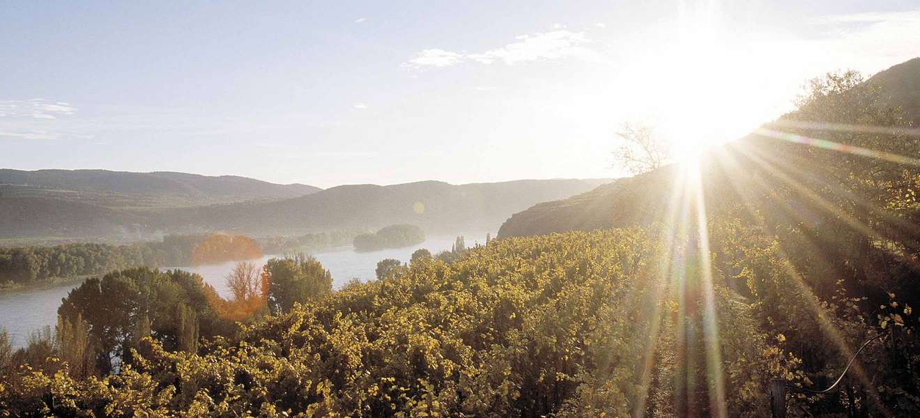 Das Event für Wein und Spirituosen: Vinexpo Explorer kommt nach Österreich.
