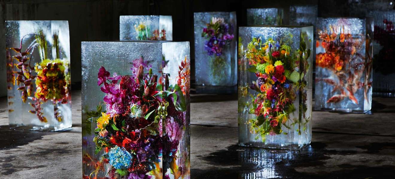 Der japanische Künstler und Florist Azuma Makoto liebt unkonventionelle Effekte. Für seine Ausstellung »Iced Flowers« steckt er opulent Gebundenes hinter Glas und Eis. azumamakoto.com
