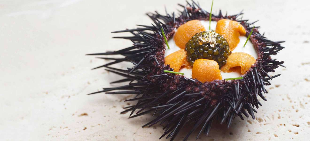 Hotspot in Singapur: Das »Waku Ghin by Tetsuya Wakuda« mit einem grandiosen Seeigel-Gericht und zwei Michelin-Sternen.